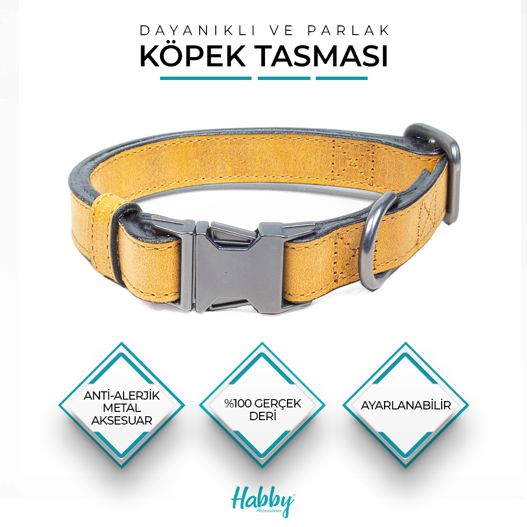 deri_tasma uhPVMQbQROkAAAAASUVORK5CYII=